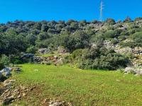 Grundstück kaufen Ammoudara bei Agios Nikolaos klein lyzndl1cm0yr