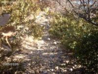 Grundstück kaufen Aren klein i6f4y4z7wc9h