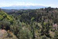 Grundstück kaufen Aspro klein 5r21ezoxb68n