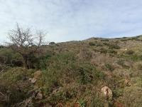 Grundstück kaufen Astratigos klein j1k7t8c2qbtr