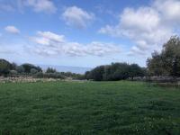 Grundstück kaufen Atsipopoulo klein oo0w4p3qmpl0