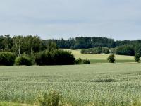Grundstück kaufen Auhagen klein 84b8n6aculvh