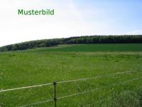 Grundstück kaufen Aurach klein whrjy0txcjgk