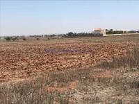 Grundstück kaufen Avgorou klein 2ospo9a24vcm