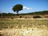 Grundstück kaufen Avsallar - Alanya klein e6z1o423loy4