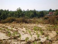 Grundstück kaufen Avsallar - Alanya klein qsevnvumzapf