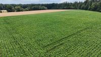 Grundstück kaufen Babenhausen klein czmkajz9yl5s
