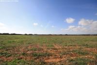 Grundstück kaufen Bad Klosterlausnitz klein 3mx99byujpf1