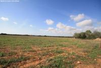 Grundstück kaufen Bad Klosterlausnitz klein 8bbg3vu1nhcl