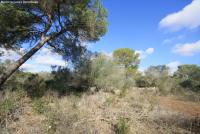 Grundstück kaufen Bad Klosterlausnitz klein qumzp3r2ikpr