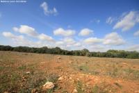 Grundstück kaufen Bad Klosterlausnitz klein r7hqds0tk5uo