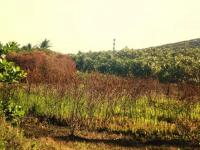 Grundstück kaufen Barra do Itariri klein e1tqzpvyd83p