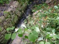 Grundstück kaufen bAUTZEN klein 5ssrkh2fh1v0