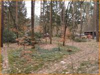 Grundstück kaufen Beelitz (Landkreis Potsdam-Mittelmark) klein wofqa4eiidtn