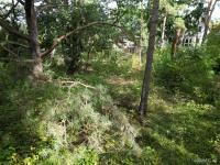 Grundstück kaufen Berlin klein p9ad1clsvnti