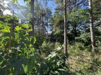 Grundstück kaufen Berlin klein vl6vq7iny8cm