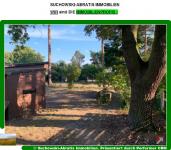 Grundstück kaufen Bestensee klein t05krmgedrv2