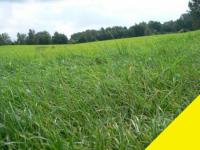 Grundstück kaufen Blumenhagen klein exkbet6azpvq