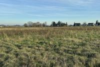 Grundstück kaufen Bornheim (Rhein-Sieg-Kreis) klein vfvuq8gyk43y