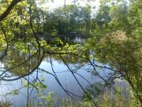 Grundstück kaufen Brück klein 5l098omi4p65