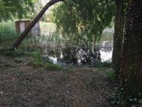 Grundstück kaufen Brück klein q1kqte41zu75