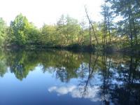 Grundstück kaufen Brück klein t3m8p2ujierk