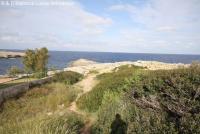 Grundstück kaufen Cala D Or klein ju55tdcuod0l