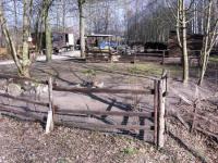 Grundstück kaufen Calau klein pckq27xuwdtg