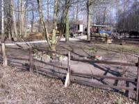 Grundstück kaufen Calau klein zgj4dmo00pnt