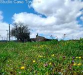 Grundstück kaufen Caldana klein 70mfy0jd76lx