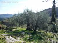 Grundstück kaufen Caldana klein b53uq8pyxj6p