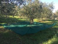 Grundstück kaufen Caldana klein t9uu3sswdlj4