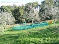 Grundstück kaufen Caldana klein vf6e7n1cdix7