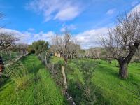 Grundstück kaufen Campanet klein h41of4ldeux5