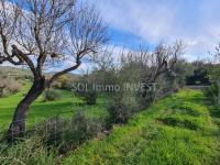 Grundstück kaufen Campanet klein uq990kw2e3jb