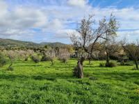 Grundstück kaufen Campanet klein yfnvveqiz55a