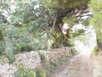 Grundstück kaufen Capdepera / Cala Ratjada klein ymzb6t0enyof