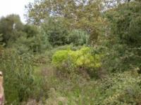 Grundstück kaufen Capdepera klein 6orot5k3wgtm