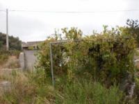 Grundstück kaufen Capdepera klein 6s20xu70uhtu