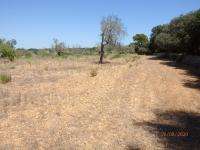 Grundstück kaufen Cas Concos klein 1mkct2qa8xid