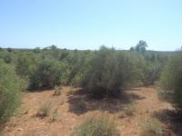 Grundstück kaufen Cas Concos klein 516cuxrh2bf0