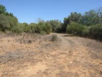 Grundstück kaufen Cas Concos klein 9rtbuionkqb1