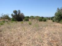 Grundstück kaufen Cas Concos klein hz45b0o8c8w3