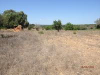 Grundstück kaufen Cas Concos klein njtfgq561su3