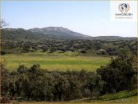 Grundstück kaufen Cáceres / Aldea Moret klein 7075fexxln32