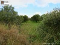 Grundstück kaufen Chandras klein 4url3stm5a81