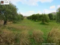 Grundstück kaufen Chandras klein f7ayojss49mf