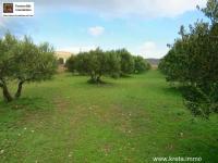 Grundstück kaufen Chandras klein pirzaqcr893e