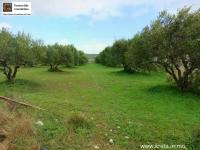 Grundstück kaufen Chandras klein u6z9o6g0lbw4