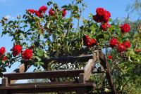 Grundstück kaufen Christinendorf klein 1kimoa6429l3